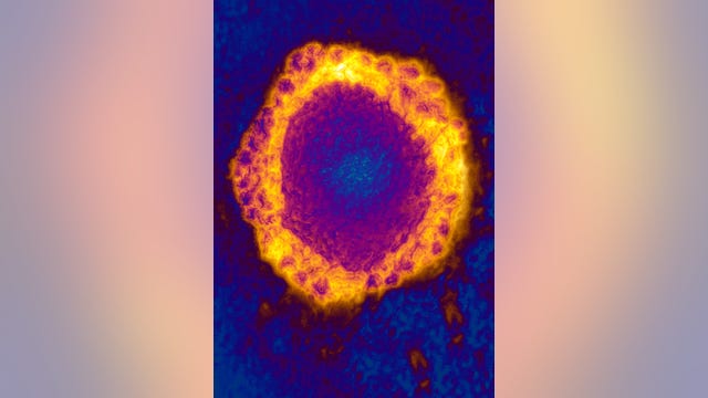 Health officials: New Coronavirus poses 'no major risks' to public at this time