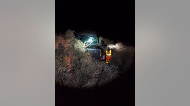 Piles of tumbleweed trapped cars along Washington highway on New Year's Eve