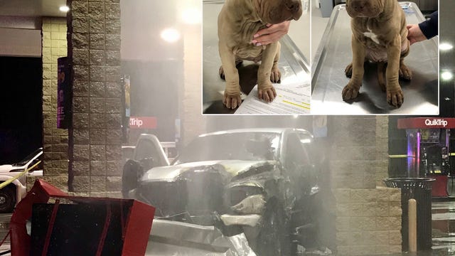 Driver crashes truck into gas pumps, leaves puppies behind inside burning vehicle