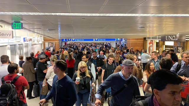 Phoenix Police: Woman arrested after causing disturbance at Sky Harbor Terminal 4