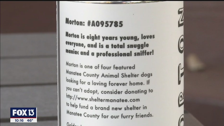 motorworks-adoptable-dogs-3.jpg