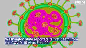 Person in Washington state first in US to die from new coronavirus