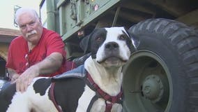 Settlement reached after veteran says he was kicked out of bar because of his service dog