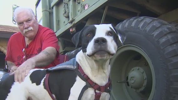 Settlement reached after veteran says he was kicked out of bar because of his service dog