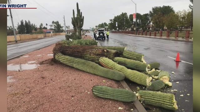 Storms drop record-breaking rainfall in Phoenix, canceling or delaying scheduled events
