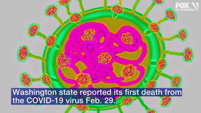 Person in Washington state first in US to die from new coronavirus