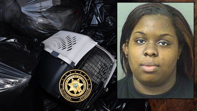 Police: Florida woman starved dogs to death, tossed their bodies in dumpster