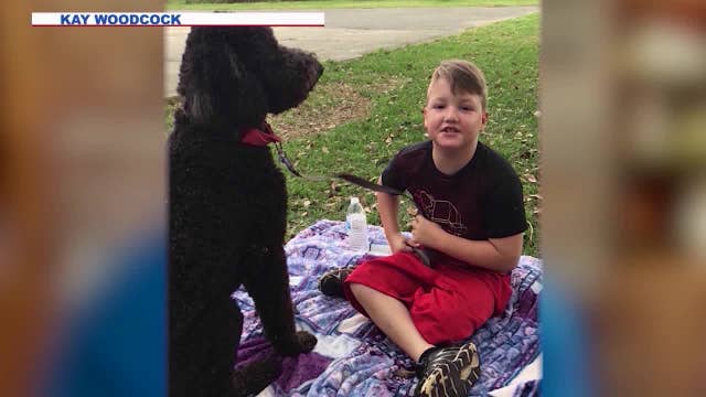 Dog trainer: Lori Vallow gave up JJ's service dog just before Idaho move