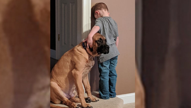 Photo Of Dog Keeping Boy Company During Time Out Goes Viral