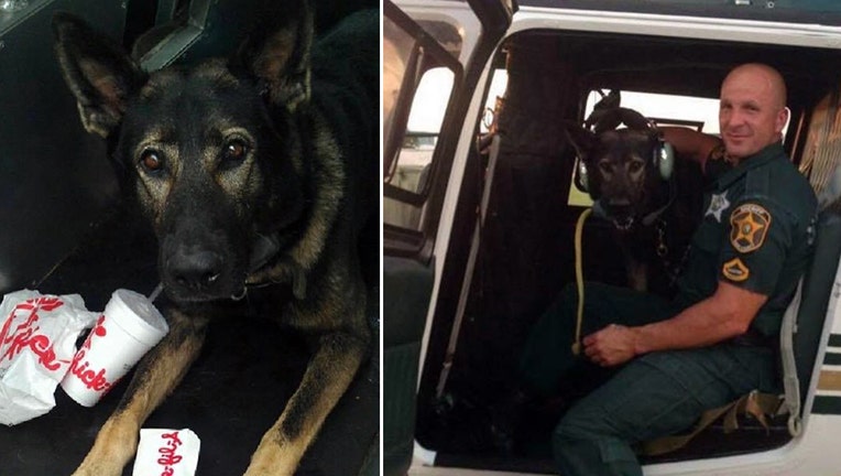 (Polk County Sheriff's Office)