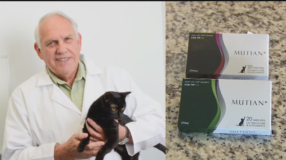 cat-coronavirus-drug-2.jpg