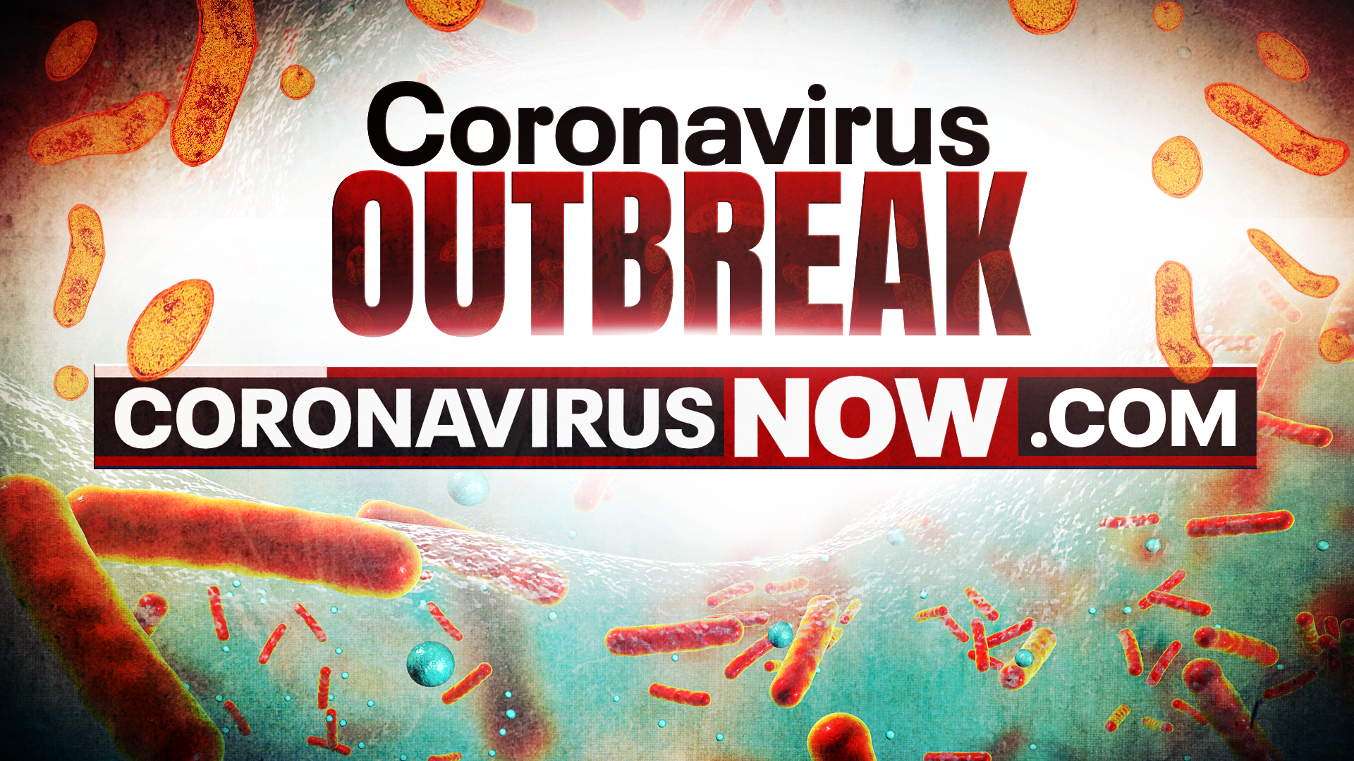 Coronavirus: White House announces more availability of masks ... Coronavirus: White House announces more availability of masks ...