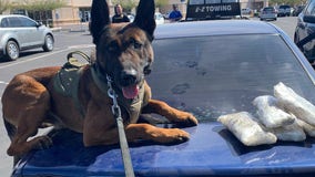 Goodyear PD K-9 Diko helps officers find $20K worth of meth during traffic stop