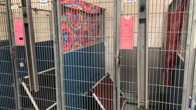 MCACC: Shelter almost completely empty of animals thanks to community