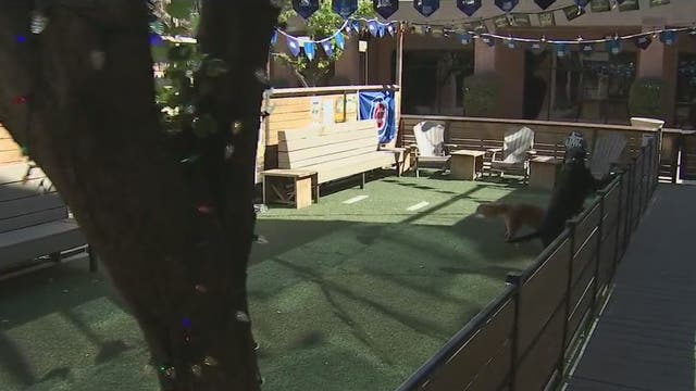 Tempe now has a bar with a dog park