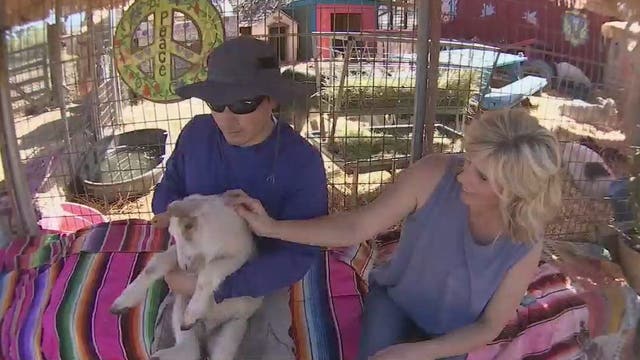 Owner fears shutdown of animal sanctuary that benefits animals, those with disabilities