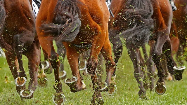 Longtime Tucson jockey dies after fall from horse