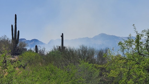 Crews battle 50-acre fire in the Tonto National Forest