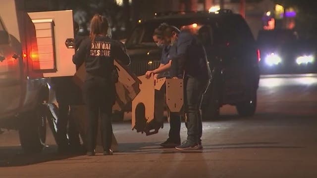 Phoenix Police: Over 200 roosters seized in cockfighting sting