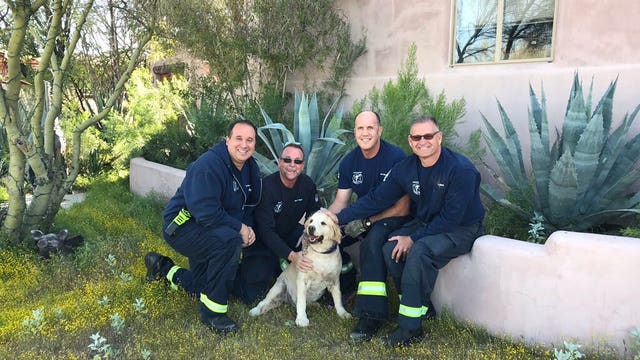 Scottsdale firefighters rescue golden retriever stuck in hole