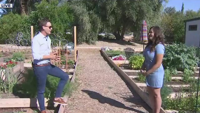 Tips on growing a garden while staying home