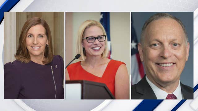 Arizona Senators McSally, Sinema and Congressman Biggs to join Trump's economic recovery task force