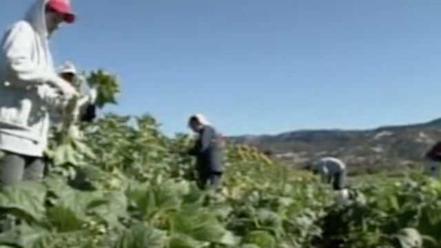 Conservative group sues to stop California aid to undocumented immigrants