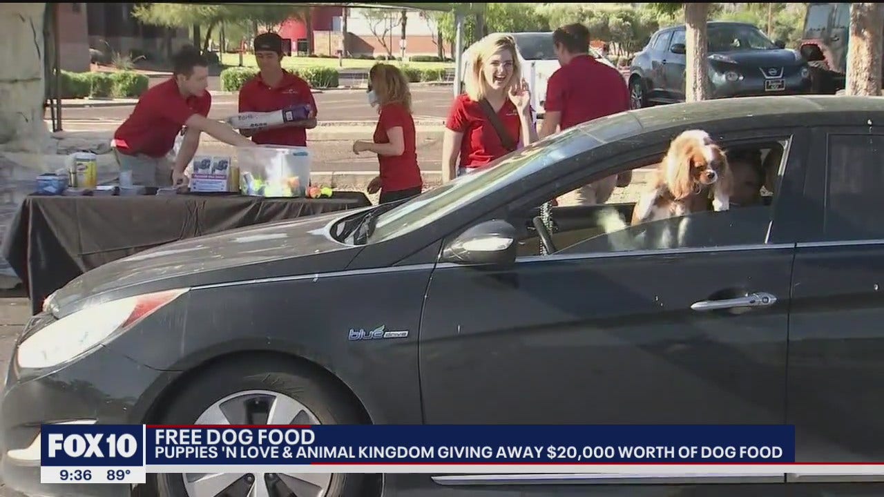 puppies n love animal kingdom