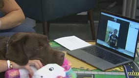 Arizona Cancer Foundation for Children sets up video chats with patients to see dogs