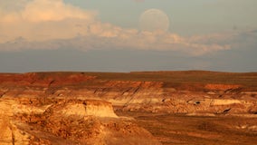 Petrified Forest National Park to begin phased reopening