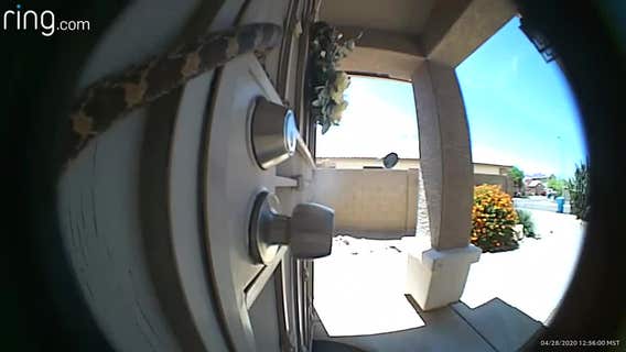 Ring camera captures slithering snake on Scottsdale man's front door