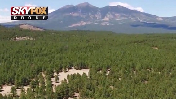 Some recreation sites in Coronado National Forest reopening