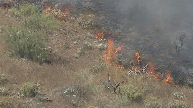 Phoenix fire crews responding to 20-acre brush fire west of I-17