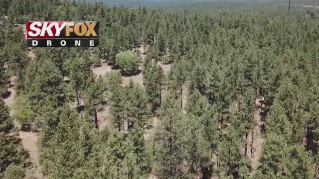 Coronado National Forest sets restrictions to prevent fires