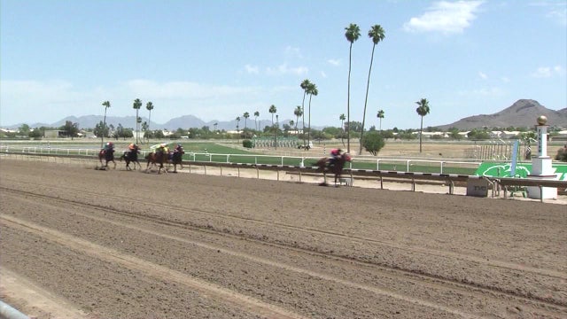 Turf Paradise cancels horse racing schedule due to COVID-19 pandemic
