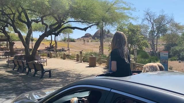 'Cruise the Zoo': You can drive your car through the Phoenix Zoo during May