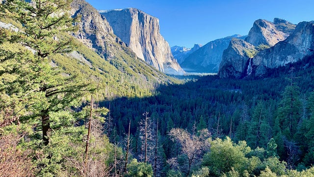 Yosemite, Joshua Tree announce reopening plans and rules