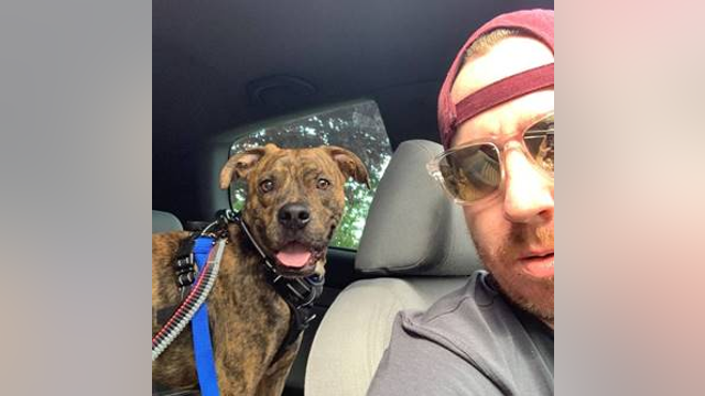 Arizona Humane Society shares sweet story of a pup's rescue