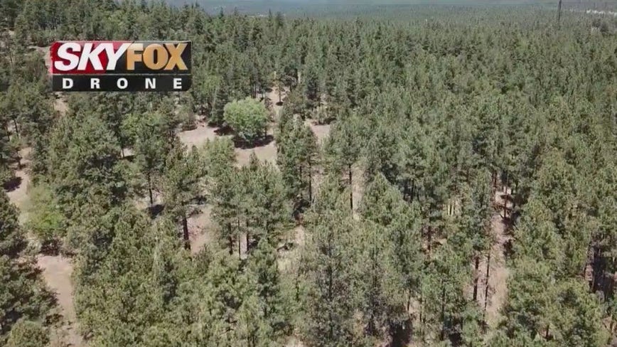 Fire restrictions in effect in Coronado National Forest