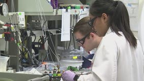 Testing wastewater for coronavirus: ASU researchers notice spike following end to lockdown