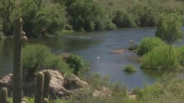 The long-term impact a wildfire has on a forest and its wildlife