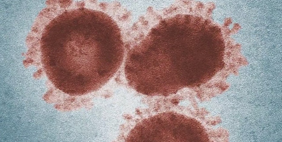 White House expert, researcher see COVID-19 cases in Arizona leveling