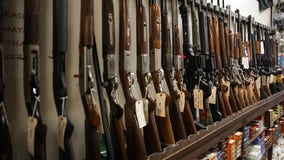 Background checks, a metric for gun sales, hit all-time high in June