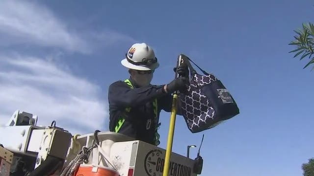 Phoenix electrician makes special Oregano's delivery