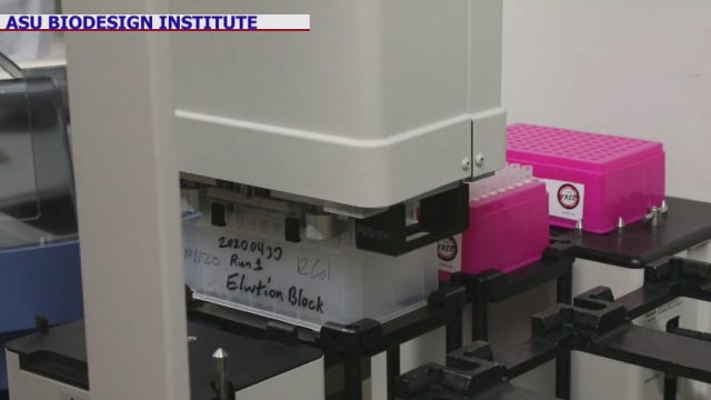 ASU expanding saliva-based COVID-19 testing by using robots