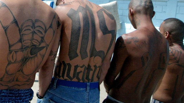 'Disrupt and destroy MS-13': DOJ announces first-ever terrorism charges in nationwide gang crackdown