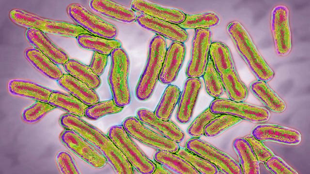 Salmonella outbreak hits 23 states, source unknown: CDC