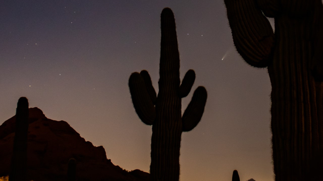 Phoenix's Desert Botanical Garden hosts Comet NEOWISE viewing
