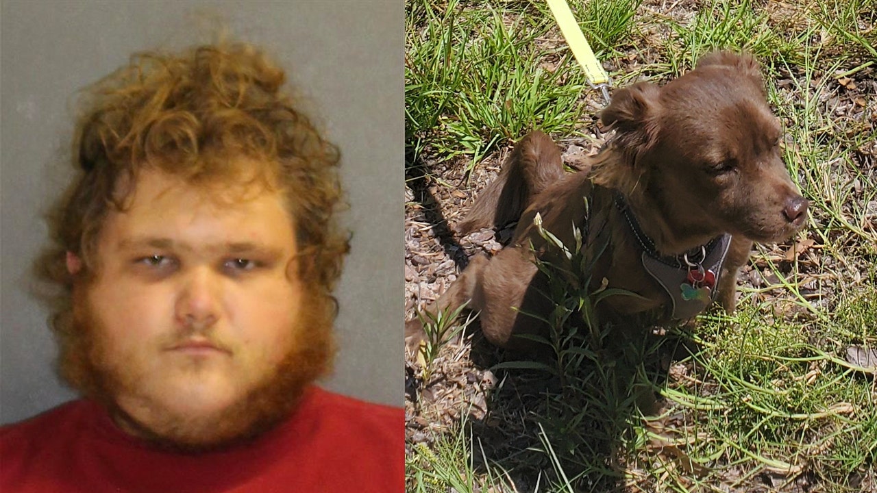 Animalsexman - Florida man arrested for possession of child porn, animal cruelty, and  bestiality, deputies say
