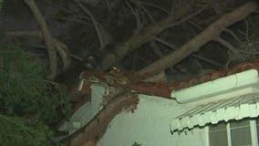 Powerful monsoon storm damages communities across Arizona, sparks wildfire in Superstitions